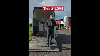Pferdetransport#erfahrungenteilen #traber#horse #foryou #pony #pferdeliebe#humbaur
