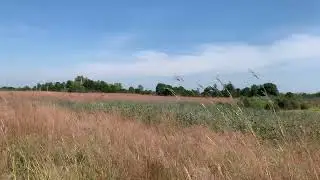 Sherburne National Wildlife Refuge, Minnesota. 751FD659 5D49 4485 BBF4 9495B01F04DD