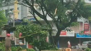 NH66 updates | Kasargod | Tree cutting | Building Demolition | Thekkil bridge | Poinachi#shorts#nh66