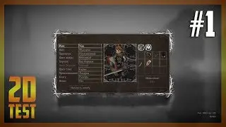Гайд по Salt And Sanctuary #1 ➤ Классы, дары, характеристики, механики