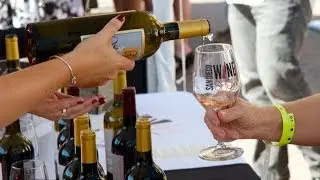 San Diego International Wine Show 2014!