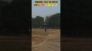 amazing field six bacha liya #amazing #field #catch #shortvideo