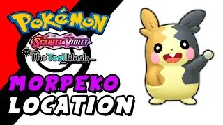 Pokemon Scarlet & Violet: The Teal Mask (DLC) - Morpeko Location (Violet Exclusive)