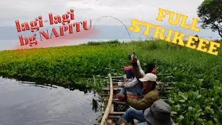 FULL STRIKE...||| Moment mancing ikan  nila lubuk Said Dolok...Lagi - lagi Bang NAPITU...