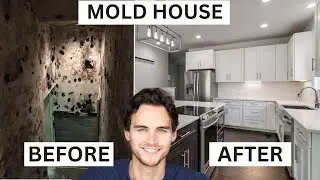 I Turned A MOLD INFESTED HOUSE into a Luxury Home