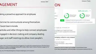 Team Research Project: Organizational Behaviour