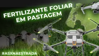 FERTILIZANTE FOLIAR com DRONE em PASTAGEM - #ASXNAESTRADA
