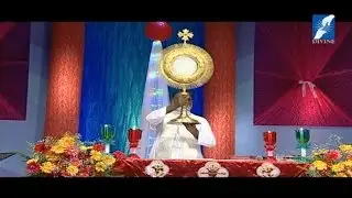Eucharistic Adoration - Fr Mathew Naickomparambil VC