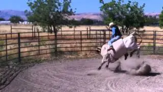 Rodeo Road