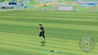 Double Doink