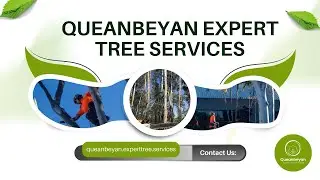 Queanbeyan Expert Tree Services - Tree Removal Queanbeyan Queanbeyan, AU | Tree Pruning Queanbeyan