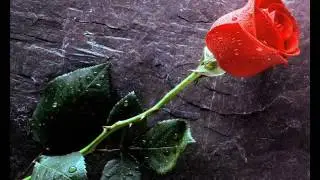 Julia Varady:  La Traviata, E Strano (Sempre libera), conductor Dietrich Fischer-Dieskau