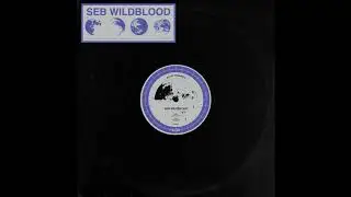 Seb Wildblood - Bad Space Habits