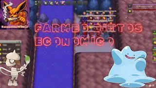 💰 Farmeo de Dittos ECON&Oacute;MICO en PokeMMO | M&eacute;todo BARATO y EFICIENTE | DeepKurama420