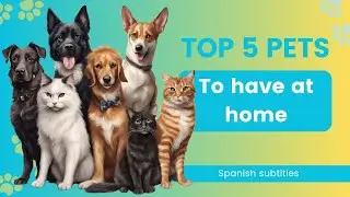 Top 5 Pets to Have at Home