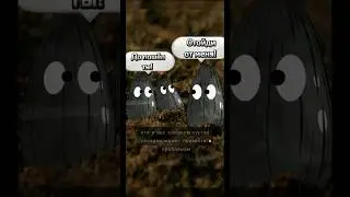 Жидко или густо?!как сажать микрозелень?