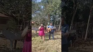 Ana Vilela . trem bala . cover . V&acirc;nia Oliveira .