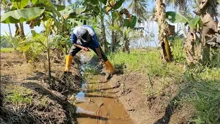 Rekor Baru Strike Belut Sungai Paling Besar Yang Pernah Aku Dapet