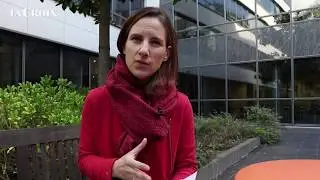 COP 23, les diff&eacute;rents enjeux