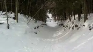 Pottageville Happy Valley Luge Run