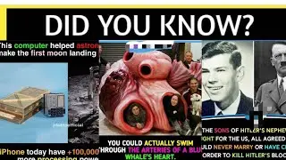 Did you know? Ep 11 The knowledge hub || Tkh|| #getsetflyfact #theamazingfact #exofact #factsworld