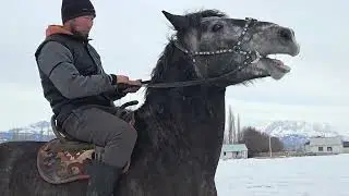 Бышты 3 жаш +996-224-01-71-32 29 января 2026 г.