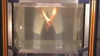 Freddy Fusion,Water Tank Illusion