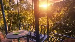 Green porticos villa munnar #MUNNAR | Munnar, India | Hotel Review 🌟