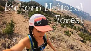 Trail Run in Bighorn National Forest | Beef Trail