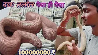 10000000 ₹ price sand boa two headed snake। क्यूं दस करोड़ रूपये में बिकता है दो मुंह वाला सांप 💵🐍