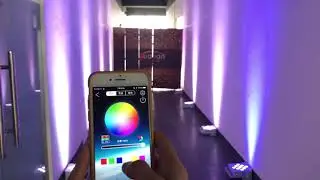 battery wireless uplight for dj wedding party