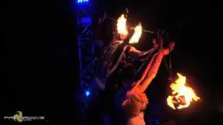 Fire Groove: Performing at Lightening In a Bottle (teaser)