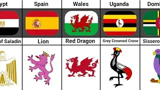 Animals Inside Country Flag of Different Countries