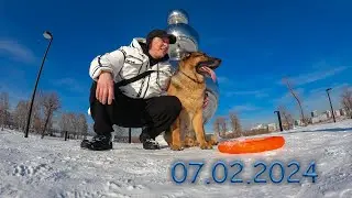 Новосибирск. Прогулка с немецкой овчаркой. Novosibirsk. Walking with a german shepherd. (07.02.24)