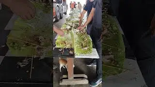 Boodle fight