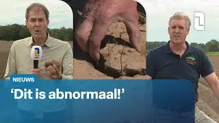 Aardappels nu pas de grond in: 'Nog nooit meegemaakt' 🚜 | L1 Nieuws