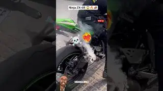Ninja ZX-6R Bike Sound And Burnout 📣🤣🔥#shorts #zx6r #kawasakininja #bikesound #burnout