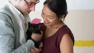 Modkat&reg; - Where modern cats do their business.
