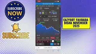 Eazybot: прибыль за ноябрь и обзор рынка криптовалют