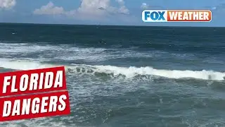 Hurricane Erin Puts Florida Under Coastal Threat