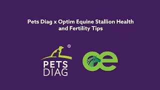 Pets Diag x Optim Equine: Stallion Health and Fertility Tips