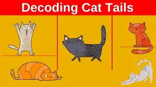 Decoding Feline Signals The Secret Language of Cat Tails