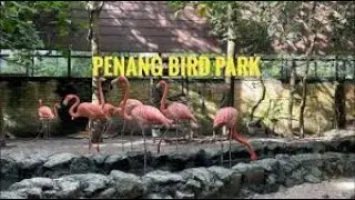 PENANG BIRD PARK