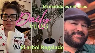 Mi Esposo es un Mil Usos! Hizo el Camino como nuevo, Mi Arbol Regalado “TODAVÍA en la limpieza”😱