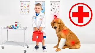 Dokter hewan menunjukkan pentingnya merawat anjing