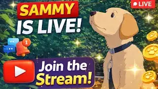 Sammy is live | Labrador puppy #labrador #live