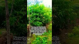 new type for form land in new arrival in puthukkodai area pakkudi location 1acre #shorts #share like