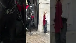 Tourists enjoyed their time at horse guards  #shorts
