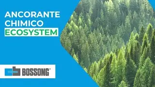 Ancorante chimico Bossong - Eco System