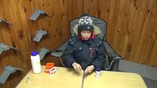 Николаевские голуби.Профилактика от болезней, глистогонка и вакцинация голубей от парамиксовируса